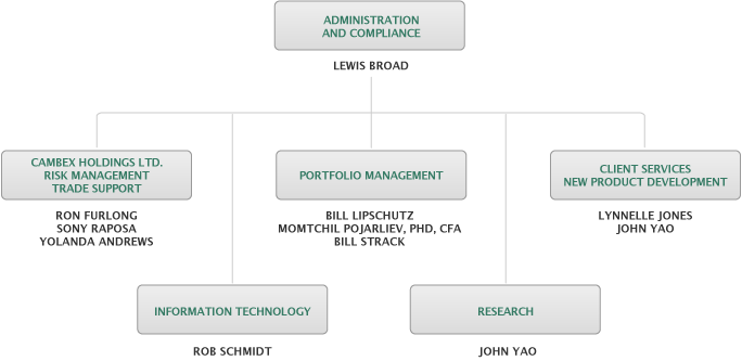 Organization Structure